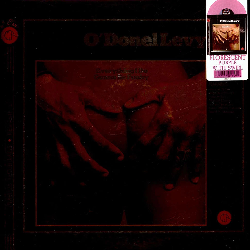 Levy O'Donel - Everything I Do Gonna Be Funky