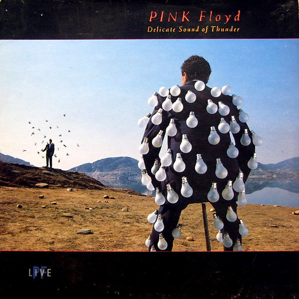 Pink Floyd - Delicate Sound of Thunder