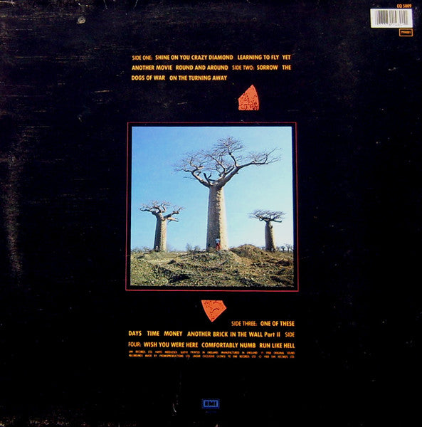 Pink Floyd - Delicate Sound of Thunder