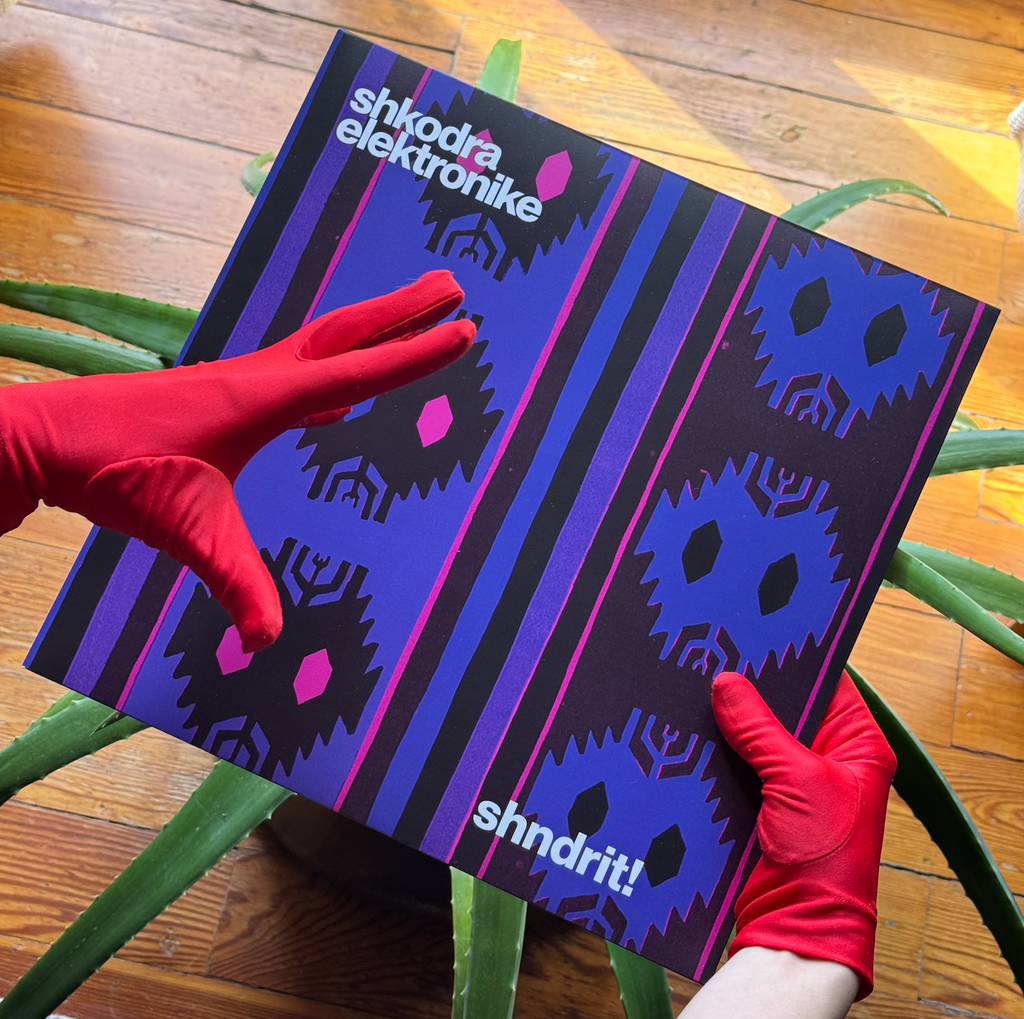 Shkodra Elektronike - shndrit!